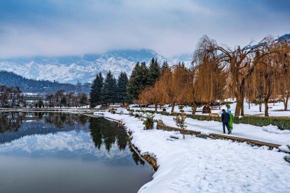 A view of botanical garden with lake in winter season, and the beautiful mountain range in the background in the city of Srinagar, Kashmir, India